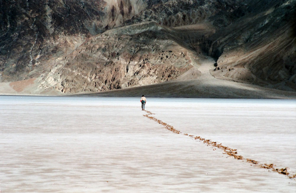 I HAD TO ZOOM THE CAMERA TO GET THIS CLOSE TO HIM